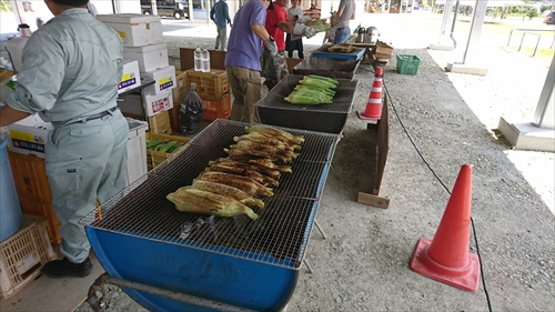 5日・沖縄本当最北端の辺戸岬より更に奥に行ってみた！